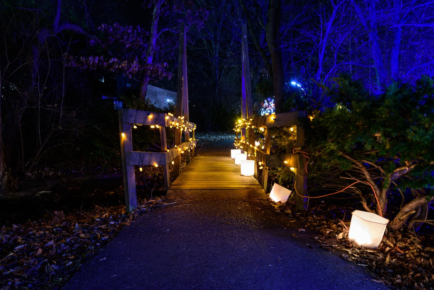 PHOTOS: A walk through Woodland Lights in Washington Township