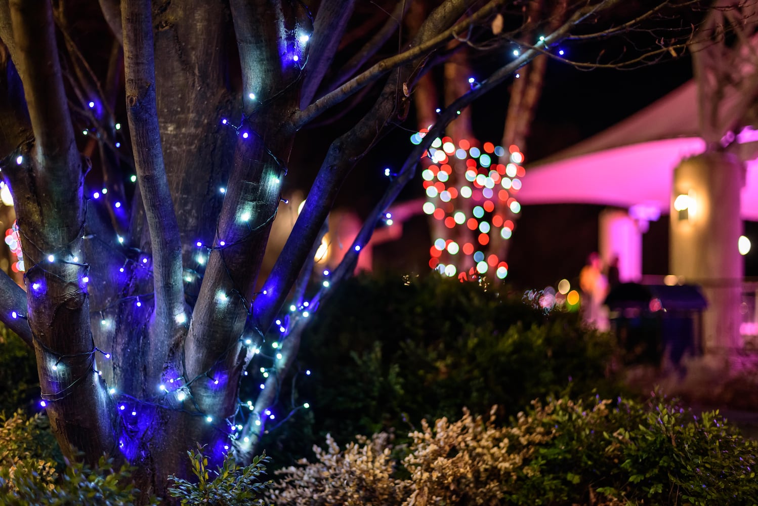 PHOTOS: Swiftie Skate Night at RiverScape MetroPark