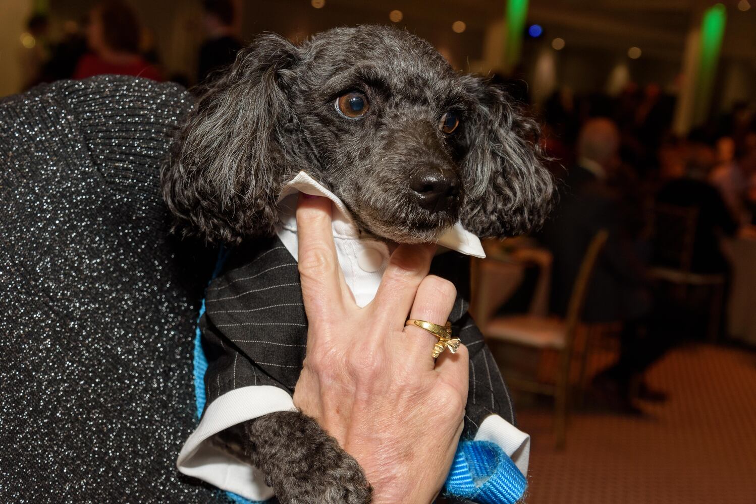 PHOTOS: Did we spot you at the Pet Afflaire Gala at the Dayton Arcade?