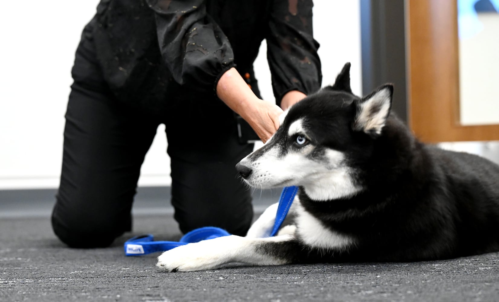 Hamilton City Schools therapy dog