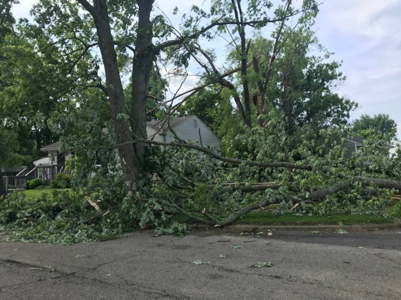 PHOTOS: Riverside storm damage