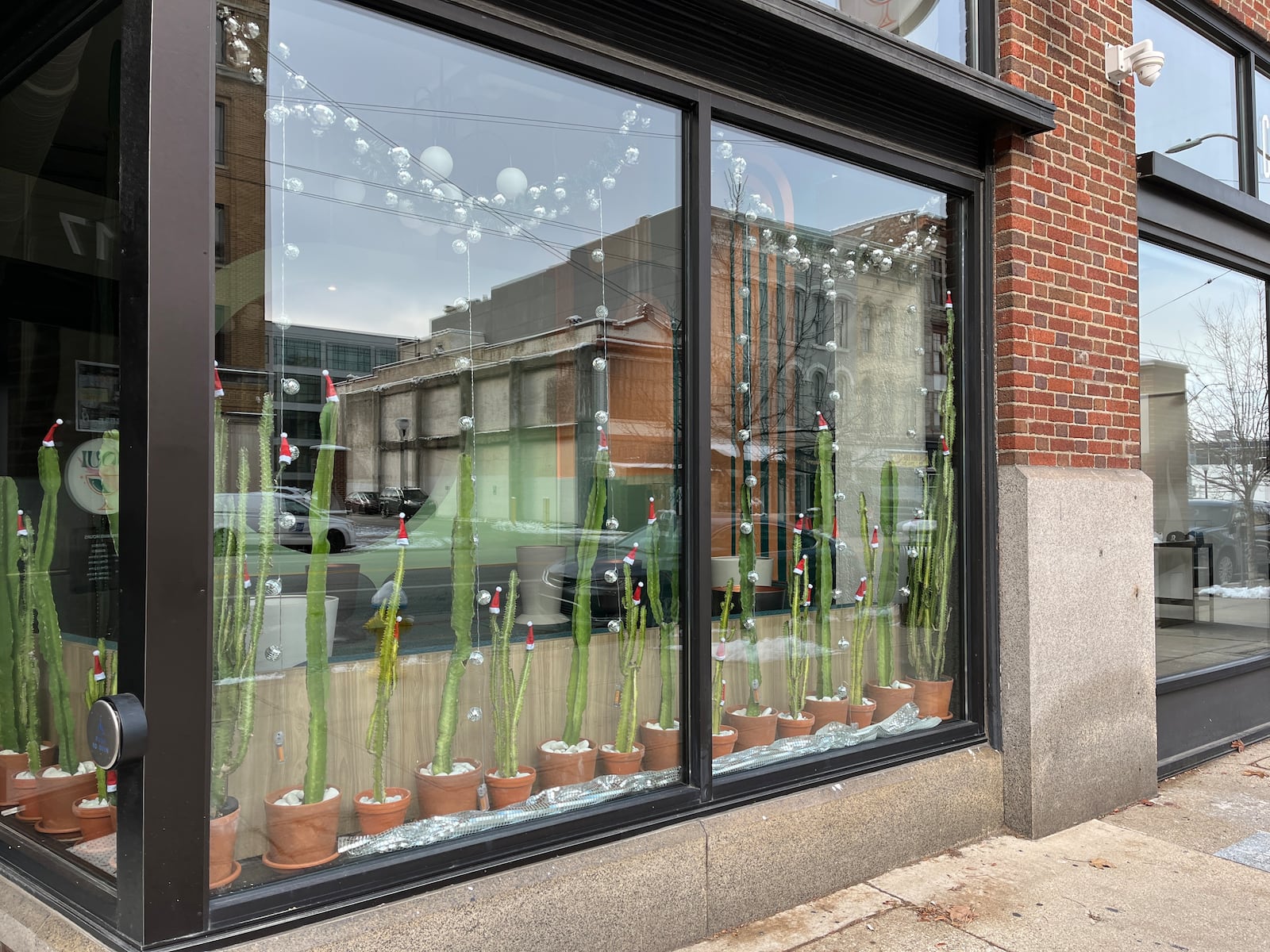 Joui Wine, contestant in Whimsical Windows contest in 2025.