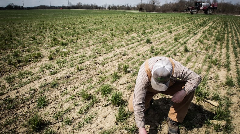 Ohio farmers could see the most economic fallout from the Russian invasion of Ukraine. In this file photo, farmer Lane Osswald works on his family's 1500 acre farm in Preble County north of Eaton.