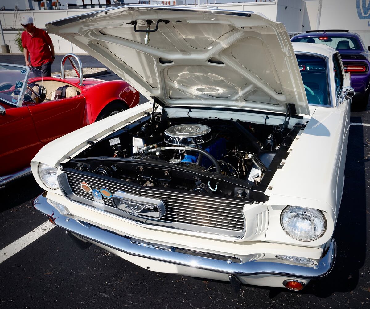 Cruise in 