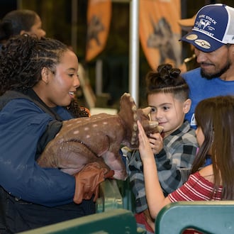 Jurassic Quest, an indoor traveling dinosaur attraction returned to the Dayton Convention Center in downtown Dayton from Friday, Feb. 6 through Sunday, Feb. 8, 2026. Here’s a look at Saturday’s highlights. TOM GILLIAM / CONTRIBUTING PHOTOGRAPHER