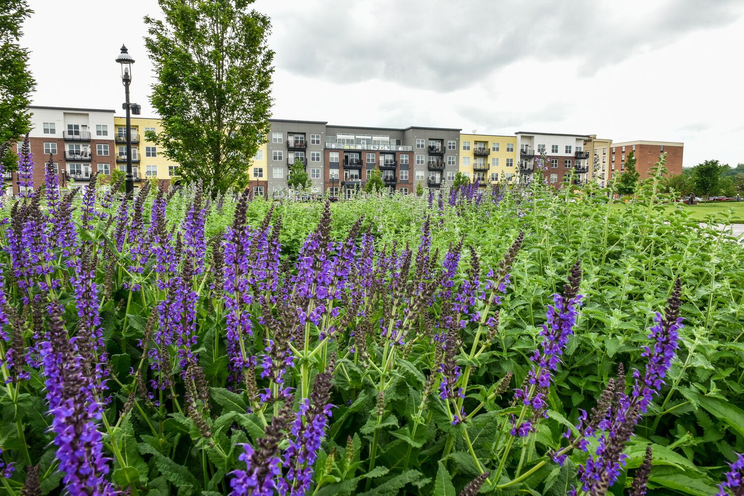 The Marcum Apartments and retail spaces