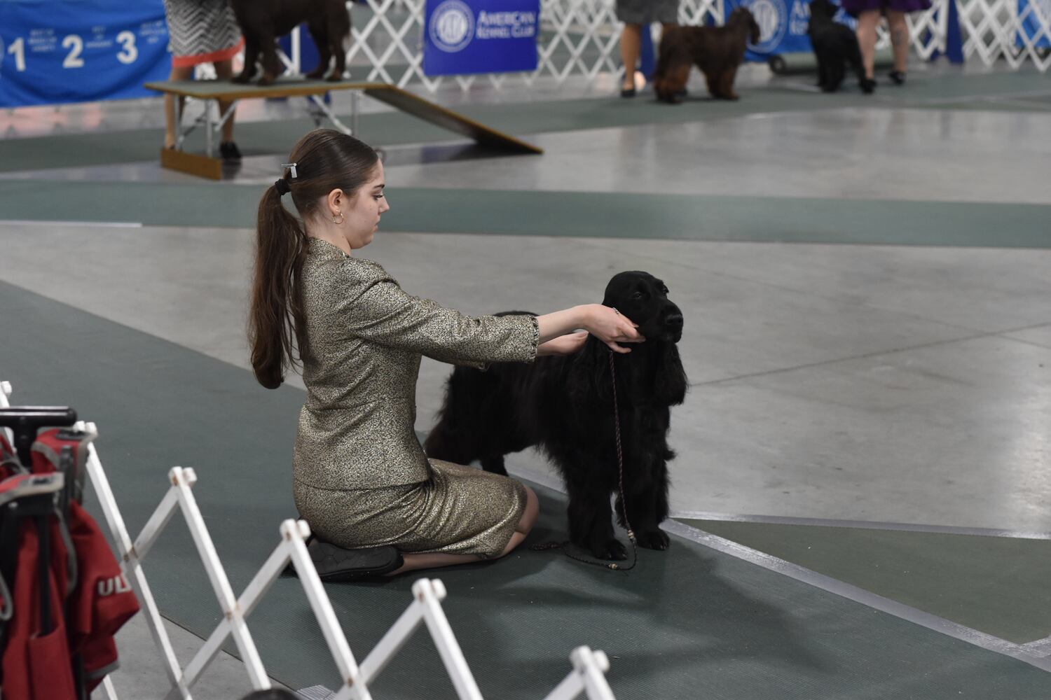 Fort St. Clair Kennel Club Dog Show