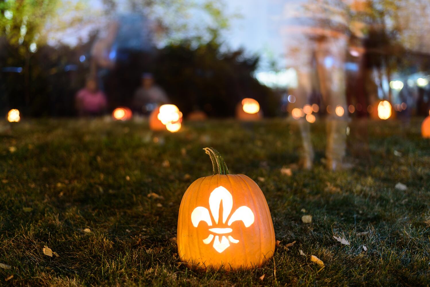 PHOTOS: The Stoddard Avenue Pumpkin Glow