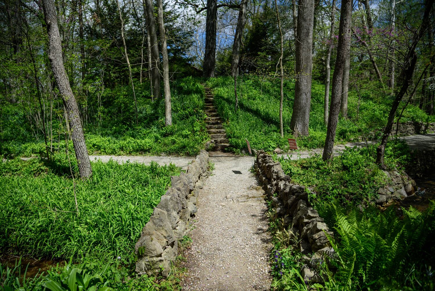 PHOTOS: Gorgeous Aullwood Garden is in full bloom