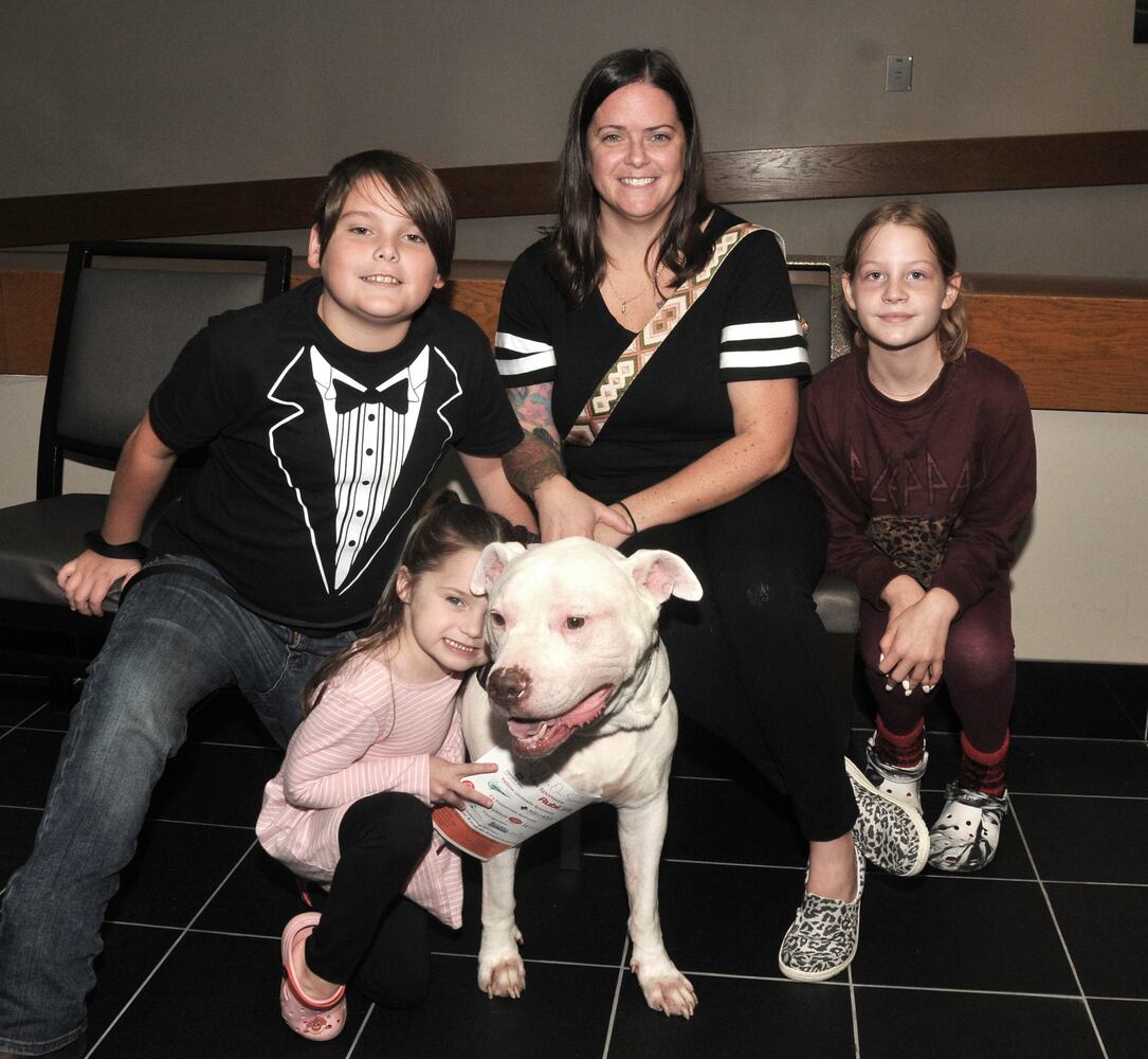Did we spot you at Dogs on the Catwalk?
