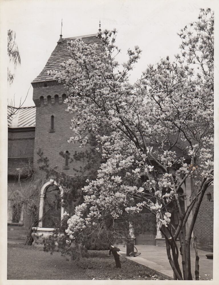 Dayton Art Institute through the years