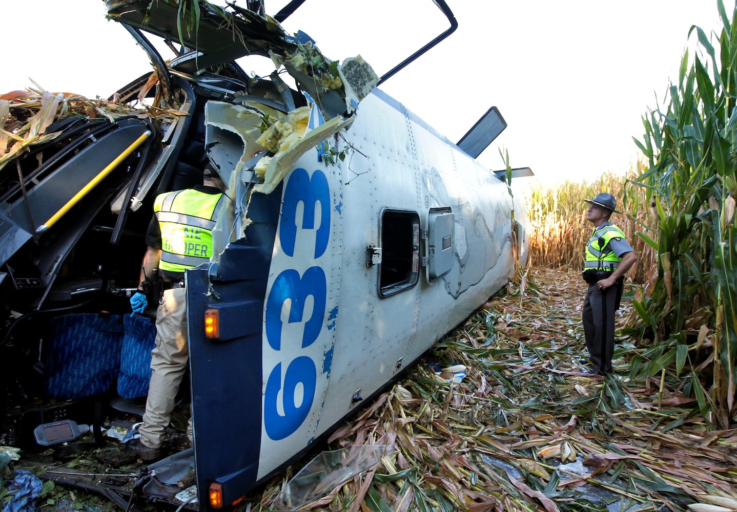 greyhound crash