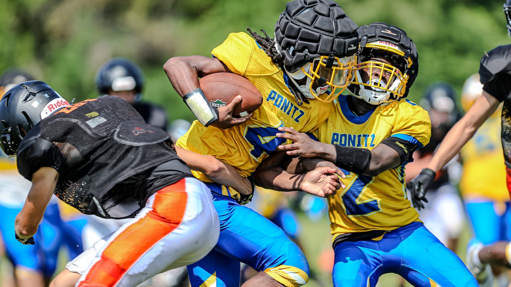 hsfb 2025