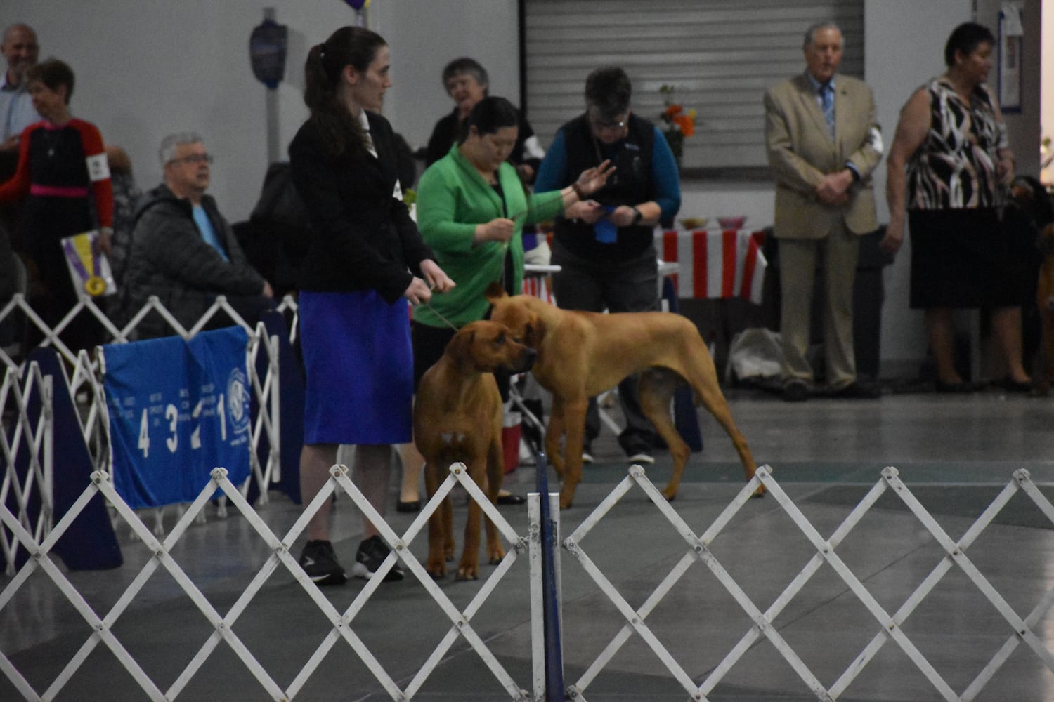 Fort St. Clair Kennel Club Dog Show