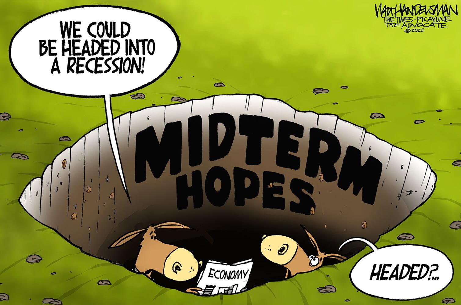 WEEK IN CARTOONS: Gas prices, baby formula shortage and more