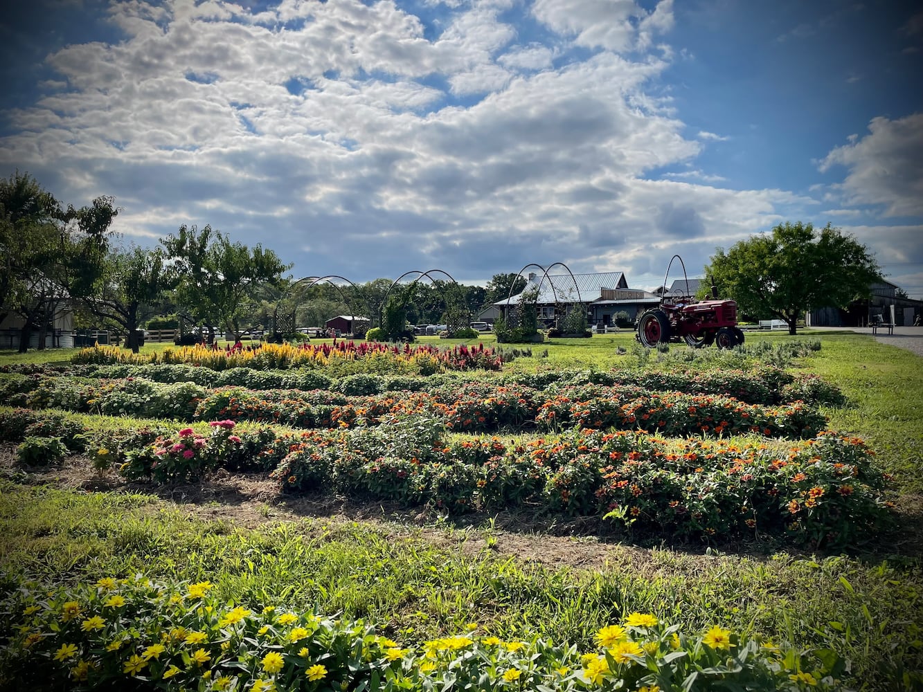 Hidden Valley Orchards