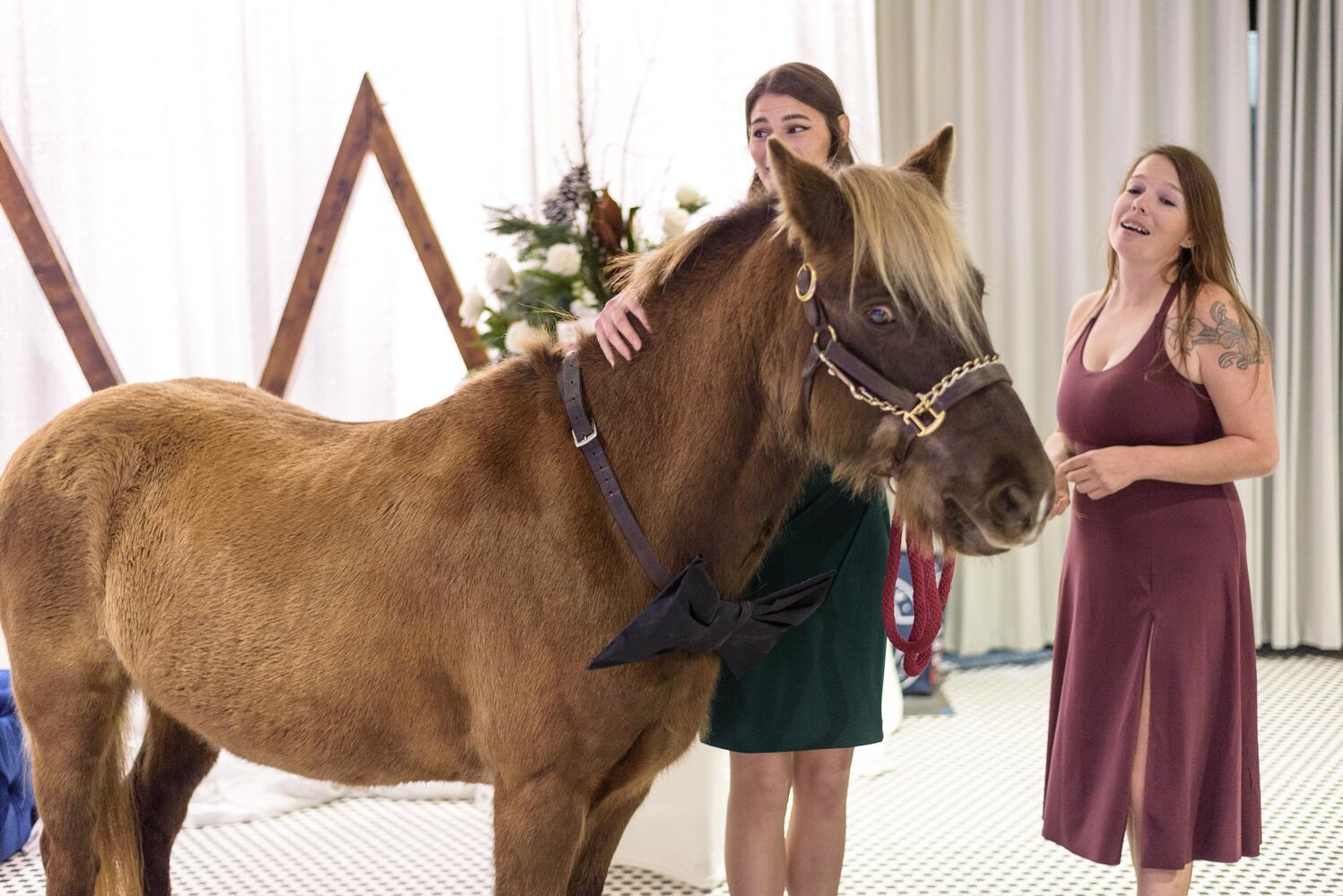 PHOTOS: Did we spot you at the Pet Afflaire Gala at the Dayton Arcade?