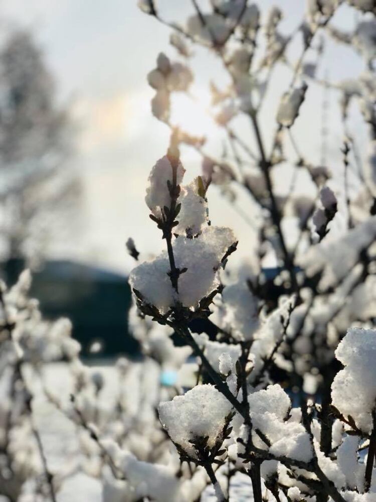 PHOTOS: Miami Valley gets a coating of snow  in April (User-submitted photo)
