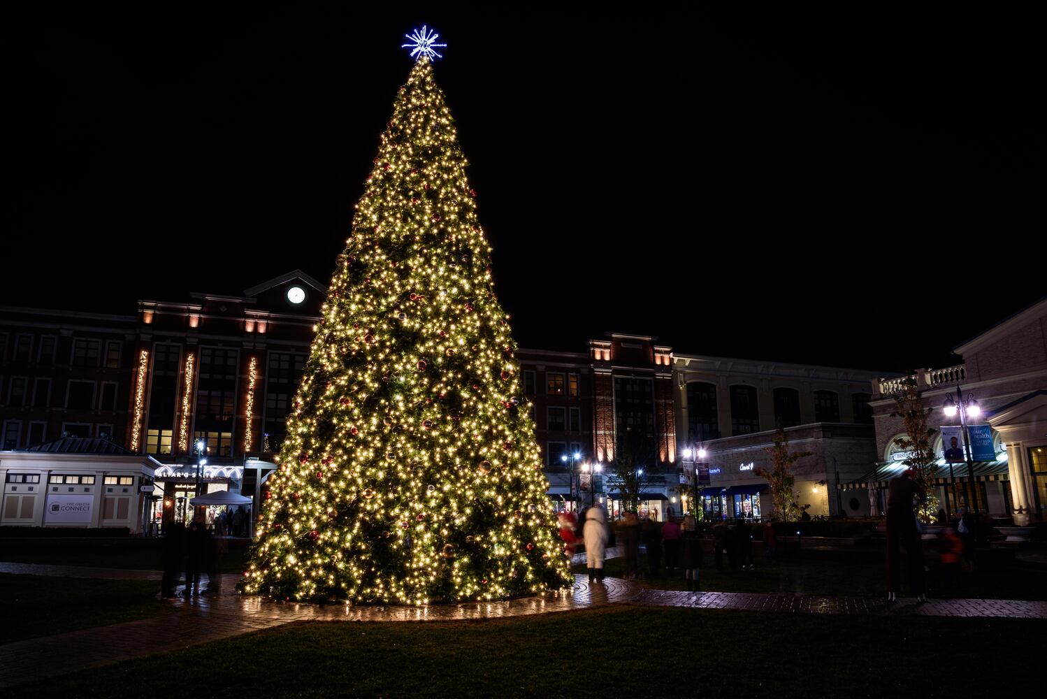 PHOTOS: Did we spot you at The Greene’s Christmas tree lighting?