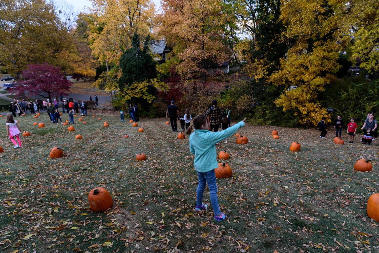 PHOTOS: The Stoddard Avenue Pumpkin Glow