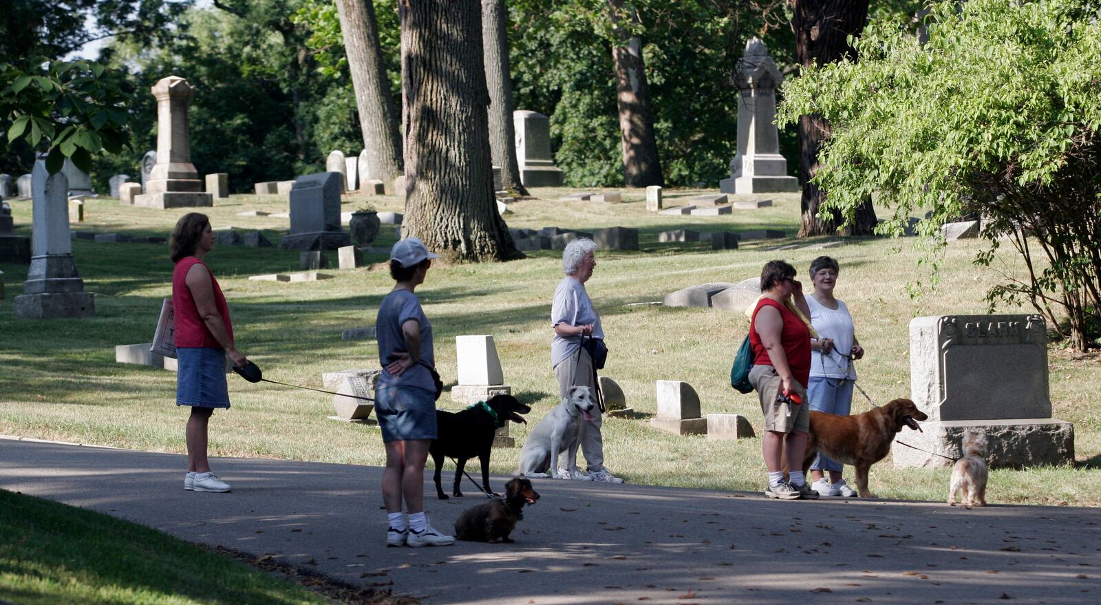 About 100 people and their canine companions took part in the 2008 Woof Walk on Saturday, Aug. 2, at Woodland Cemetery and Arboretum. Staff photo by Chris Stewart