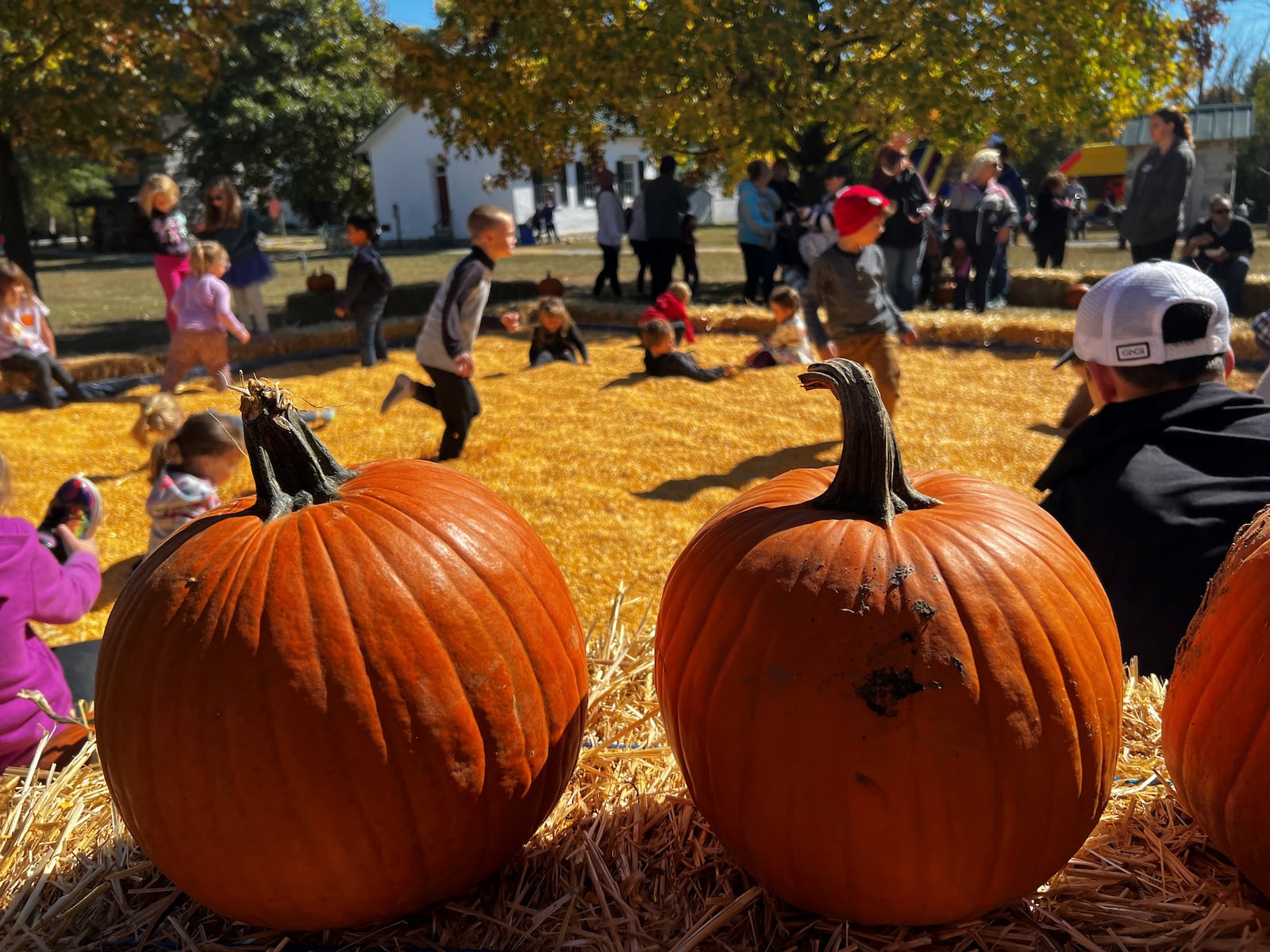The corn pit is always a popular attraction at the Vandalia Fall Festival. The festival is moving to the Vandalia Sports Complex, 1111 Stonequarry Road this year.