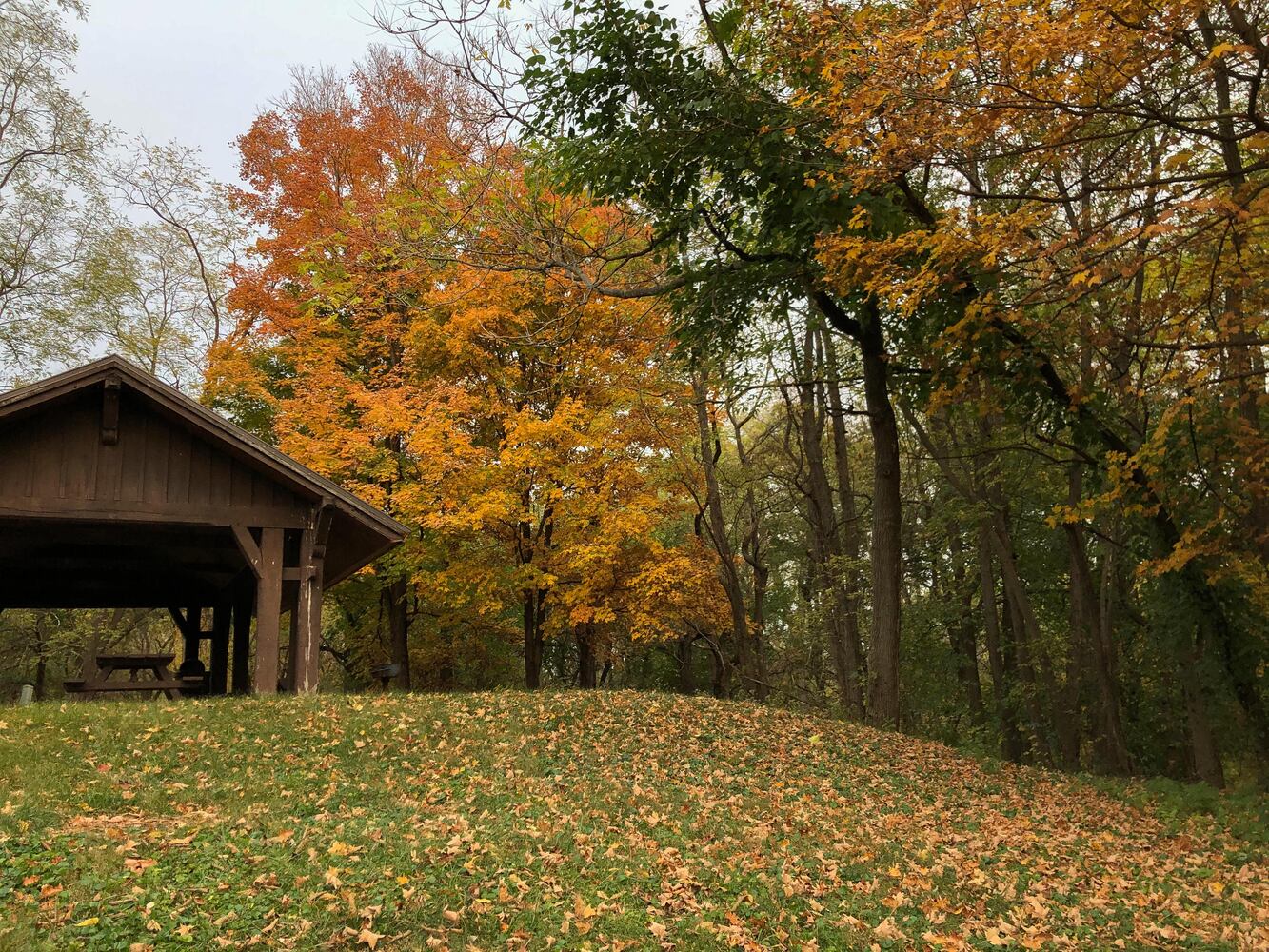 Huffman MetroPark in the fall