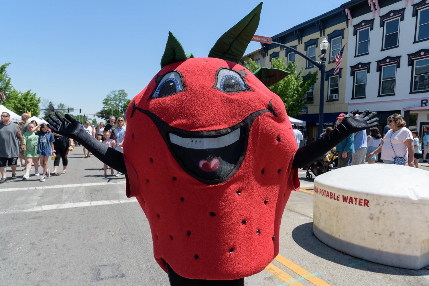 PHOTOS: Did we spot you at the Troy Strawberry Festival?