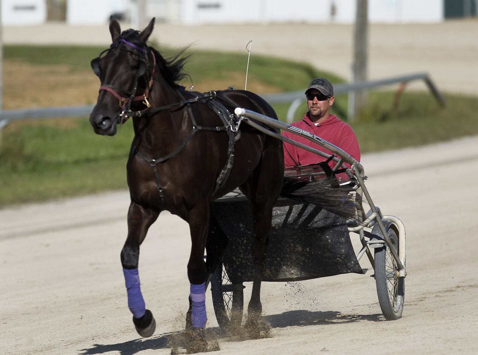Dan Noble, an acclaimed harness driver and the fourth generation of a famed harness racing family, works a two-year-old filly named “Dragon Damsel” at the Greene County Fairgrounds Thursday. LISA POWELL / STAFF