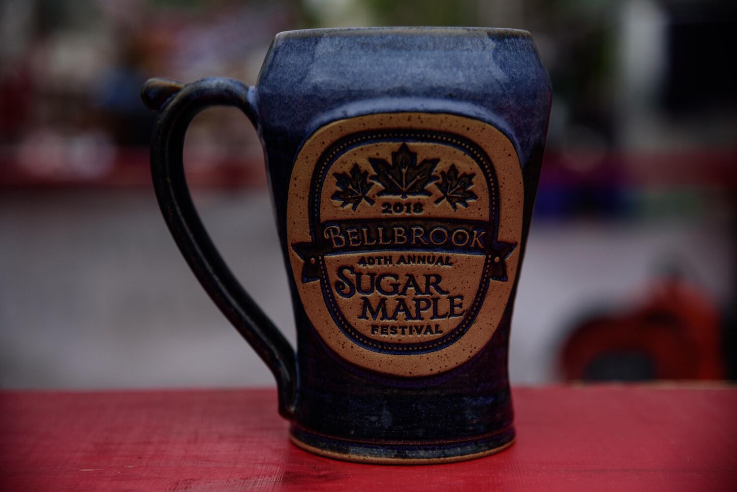 PHOTOS: Did we spot you having a sweet time at Sugar Maple Festival?