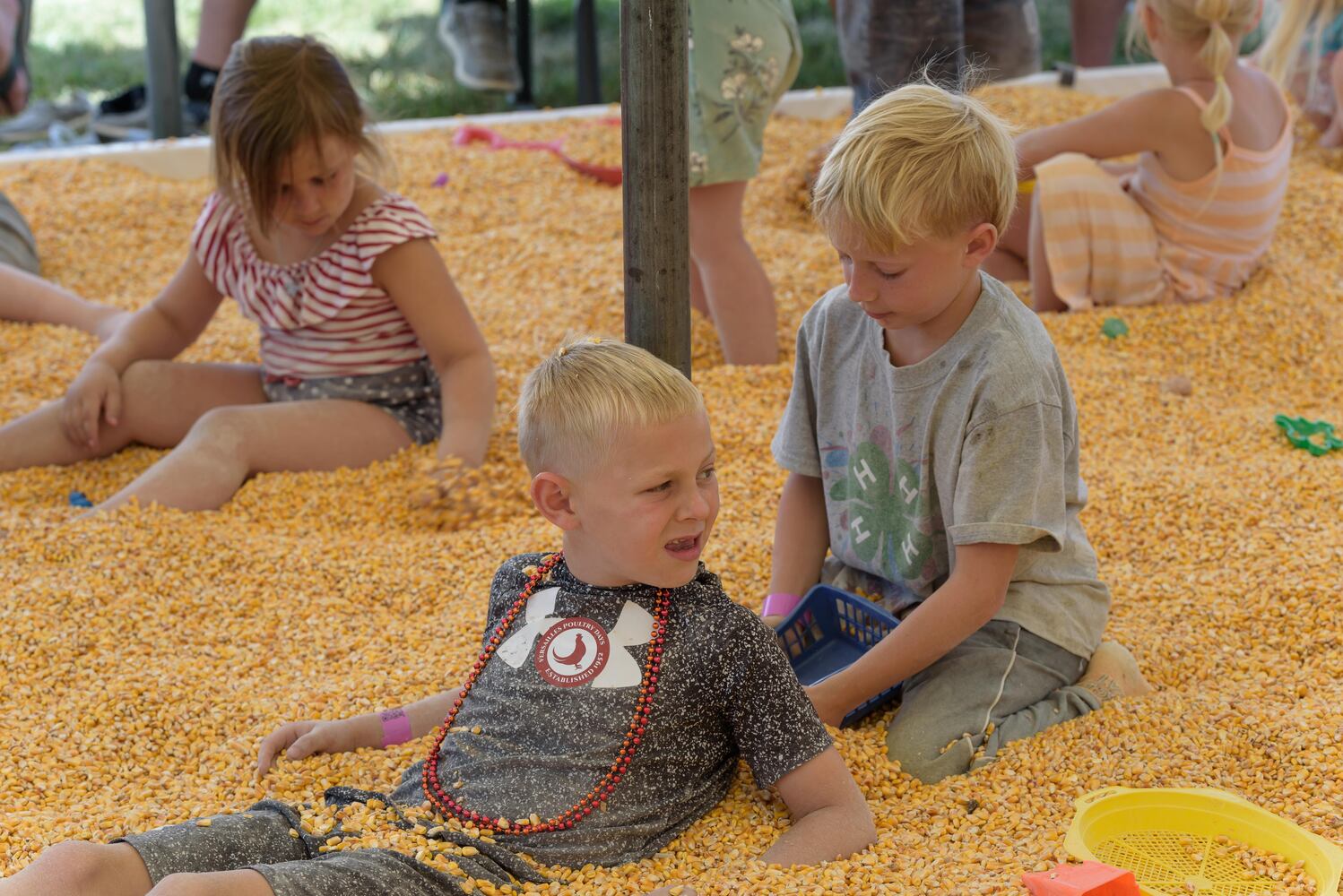 PHOTOS: 73rd annual Versailles Poultry Days