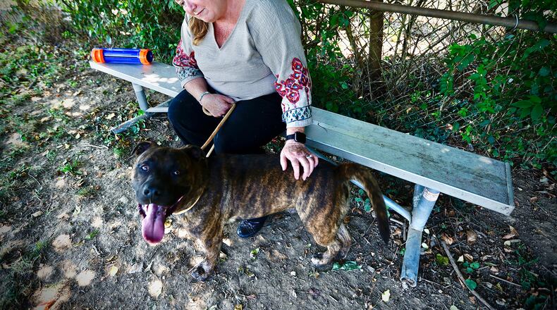 Julie Holmes-Taylor, Director of the Greene County Animal Control, spends time outside with Jager, Wednesday, Aug. 28, 2024. Jaeger is one of several dogs up for adoption at the shelter. MARSHALL GORBY\STAFF