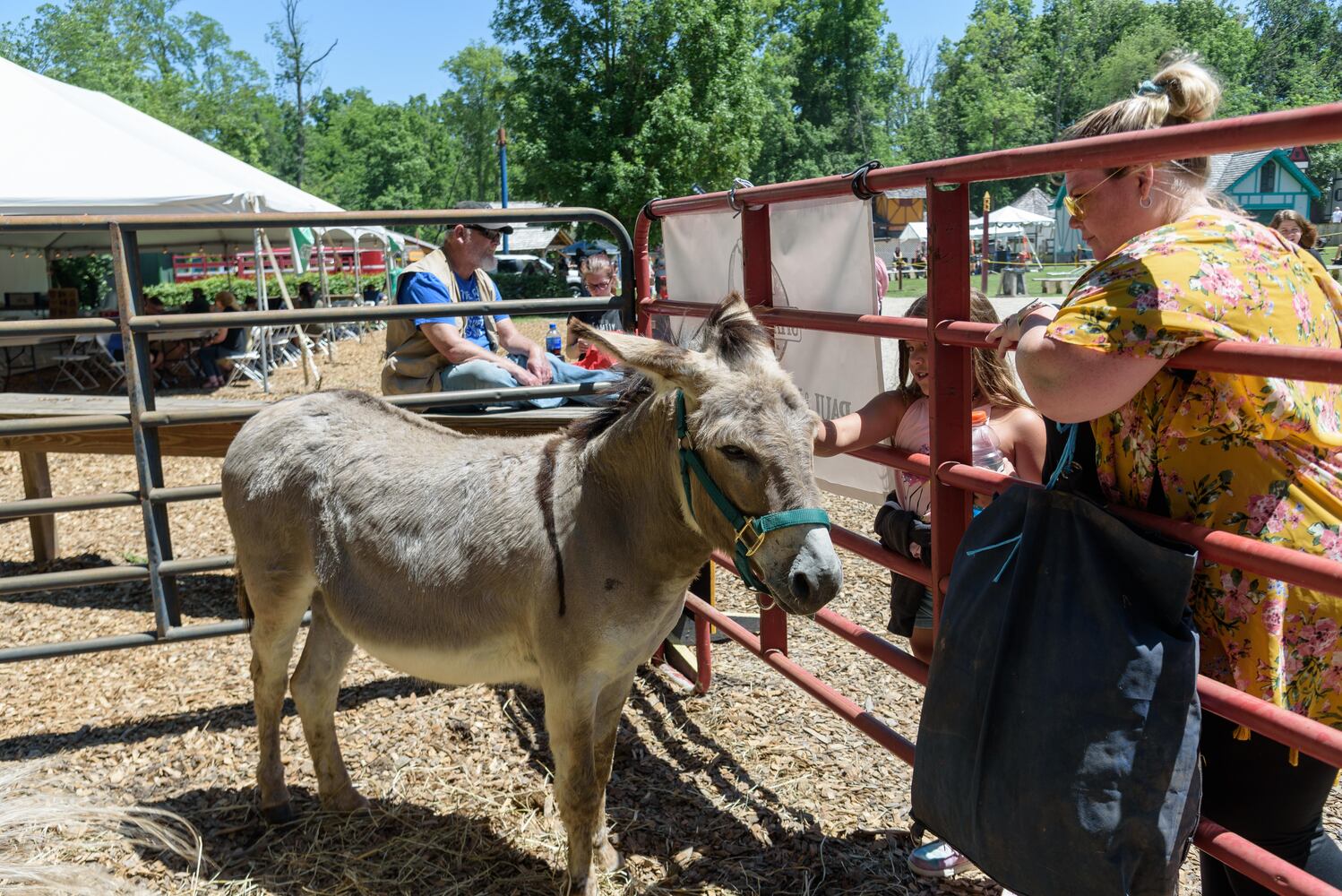 PHOTOS: Did we spot you at Celtic Fest Ohio at Renaissance Park?