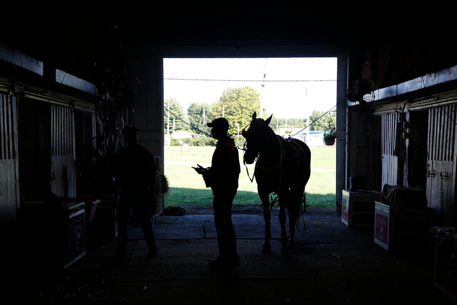Dan Noble: Harness racer dominates track