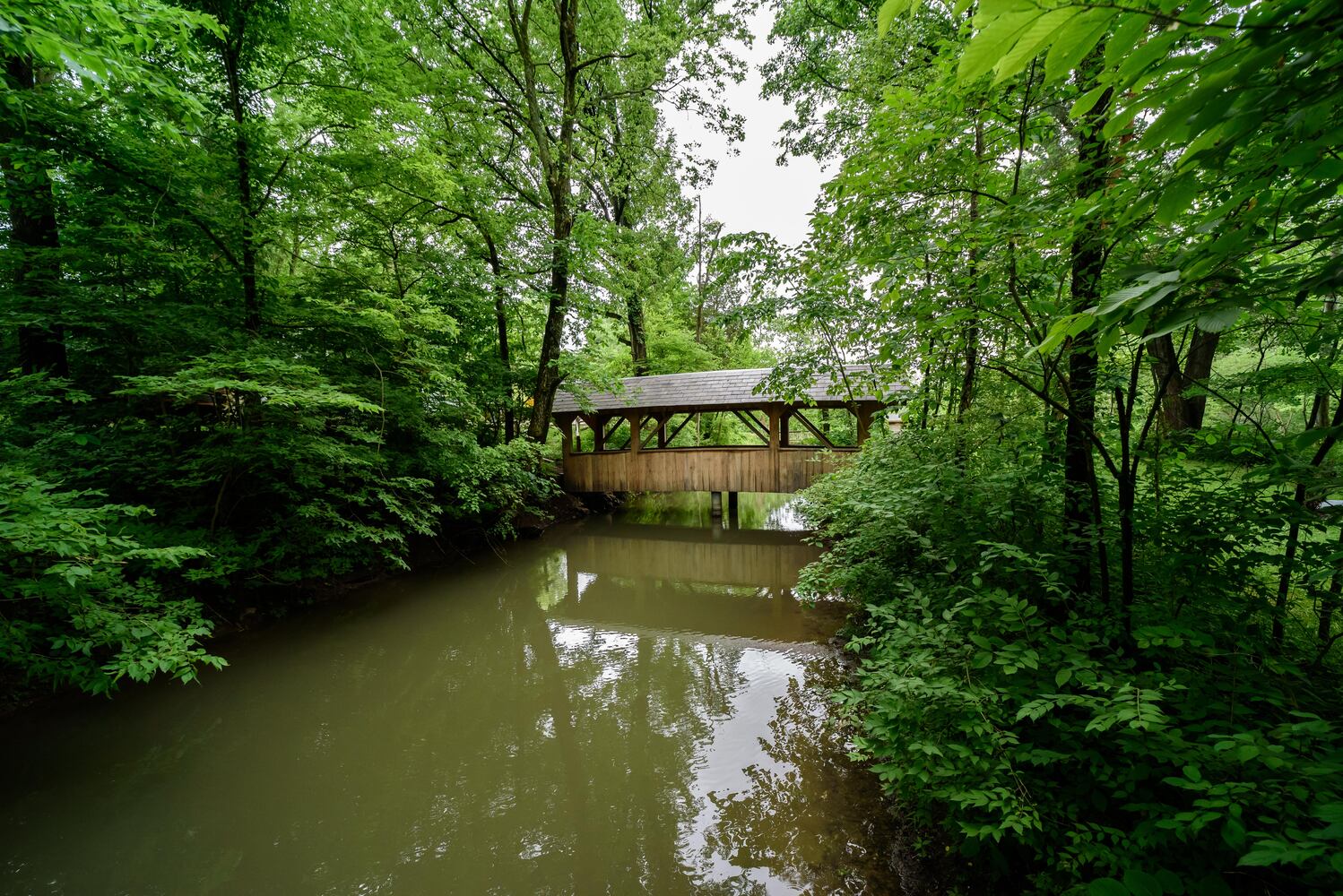 Bear's Mill Greenville