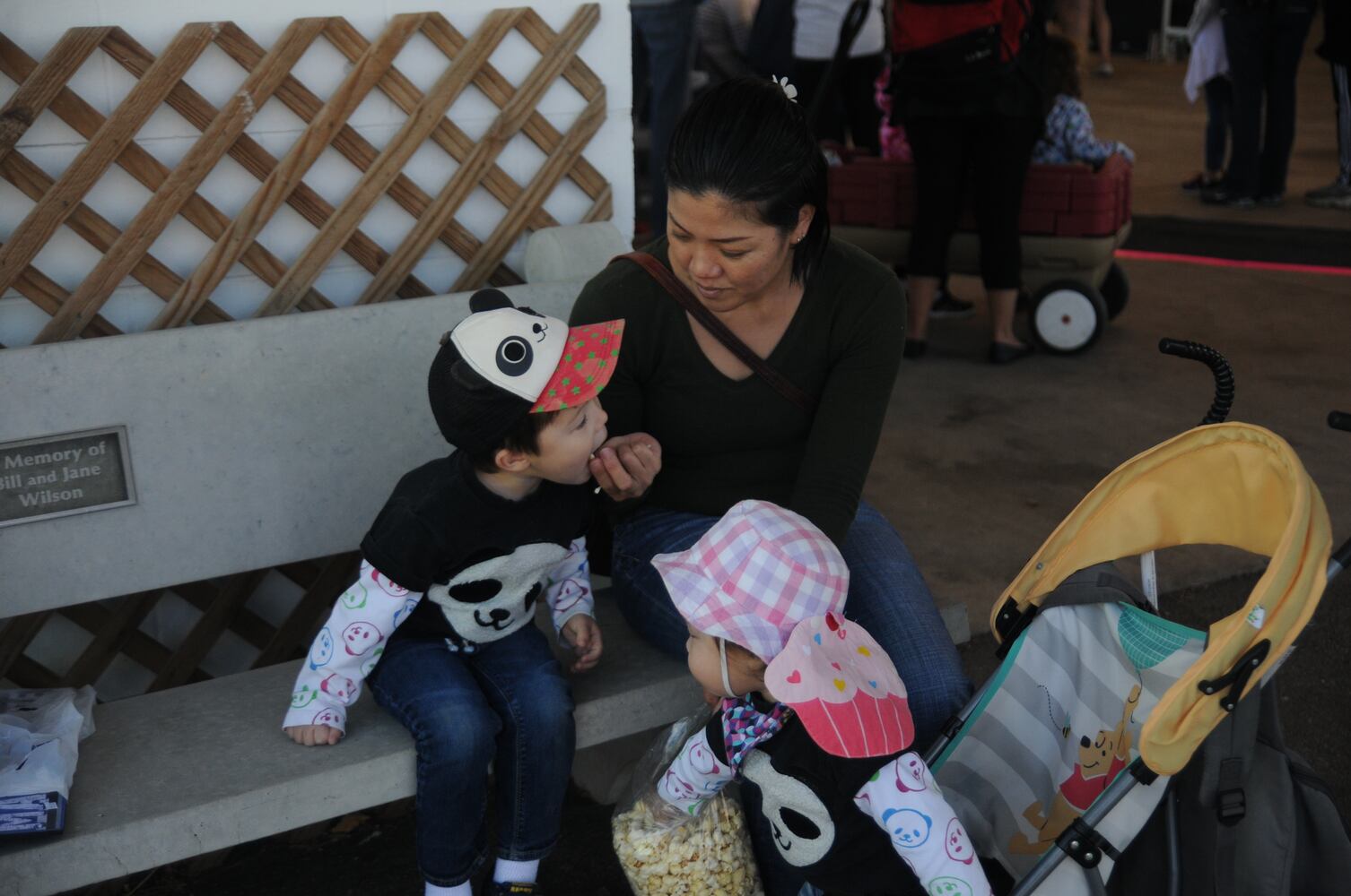 PHOTOS: Did we spot you at Lebanon Country Applefest?