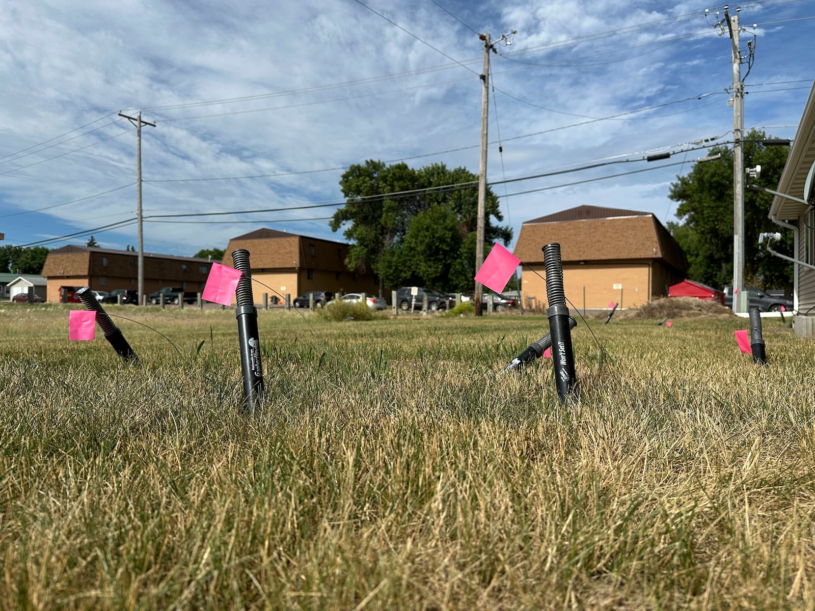 Snare traps set for Richardson's ground squirrels poke up from the ground along an apartment building on Monday, July 14, 2025, in Minot, N.D. (AP Photo/Jack Dura)