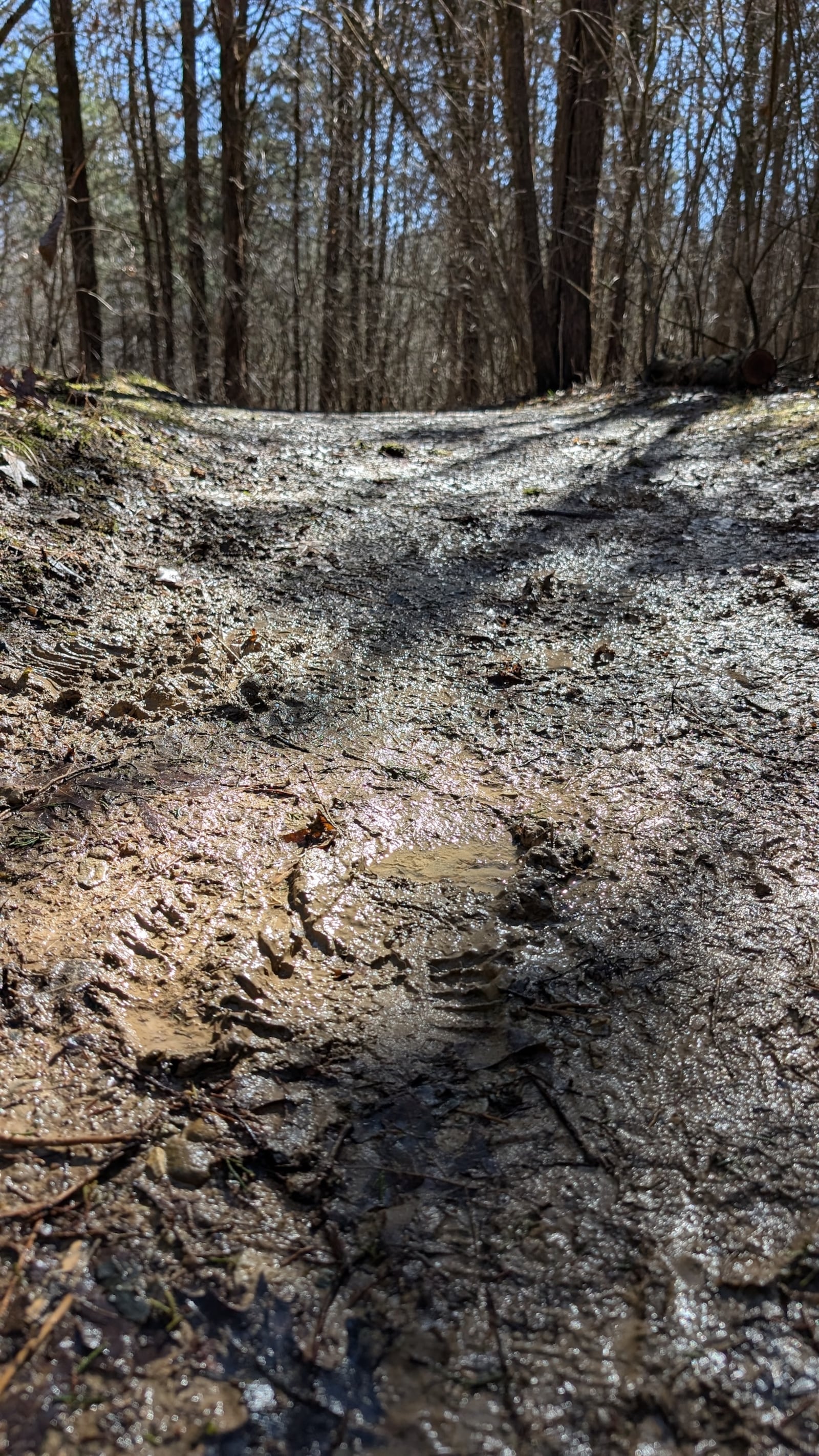 Staying on trail can prevent unnecessary erosion and damage to the soil and vegetation. CONTRIBUTED