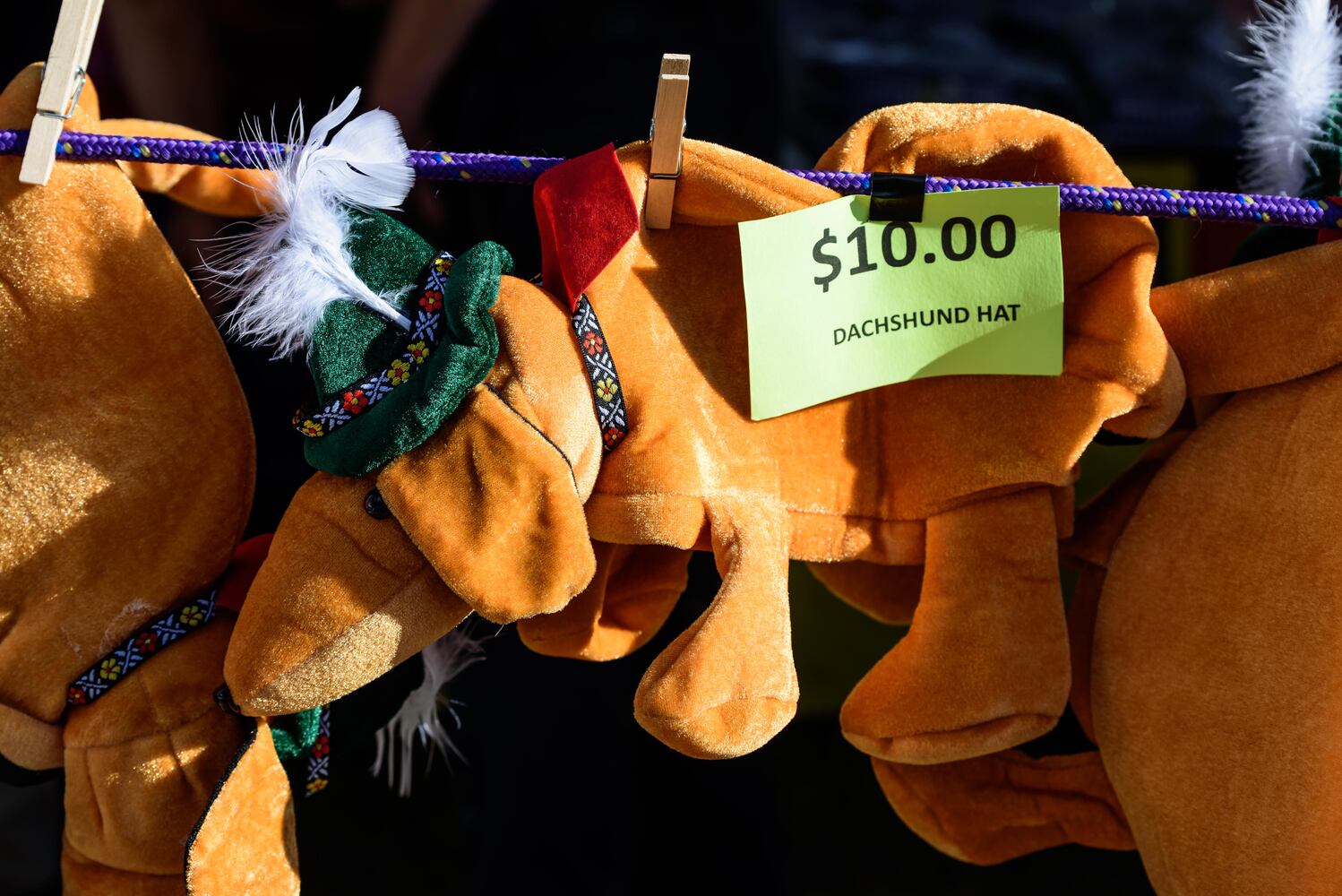 PHOTOS: 41st annual Germanfest Picnic in the St. Anne's Hill Historic District