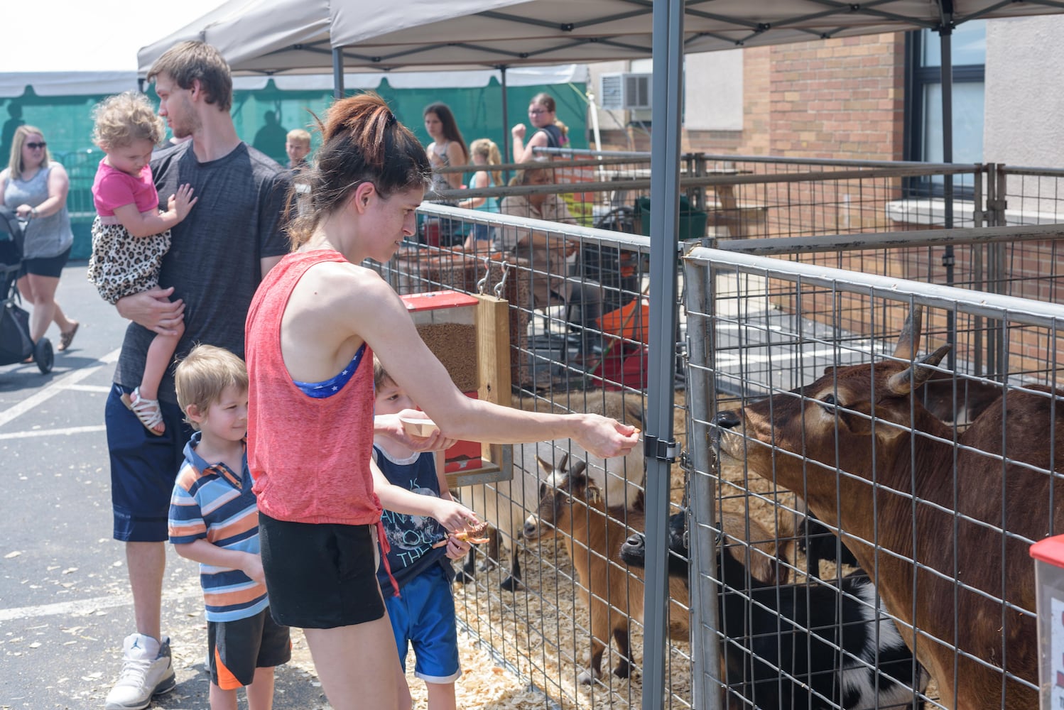 PHOTOS: Did we spot you at the Versailles Poultry Days Festival?
