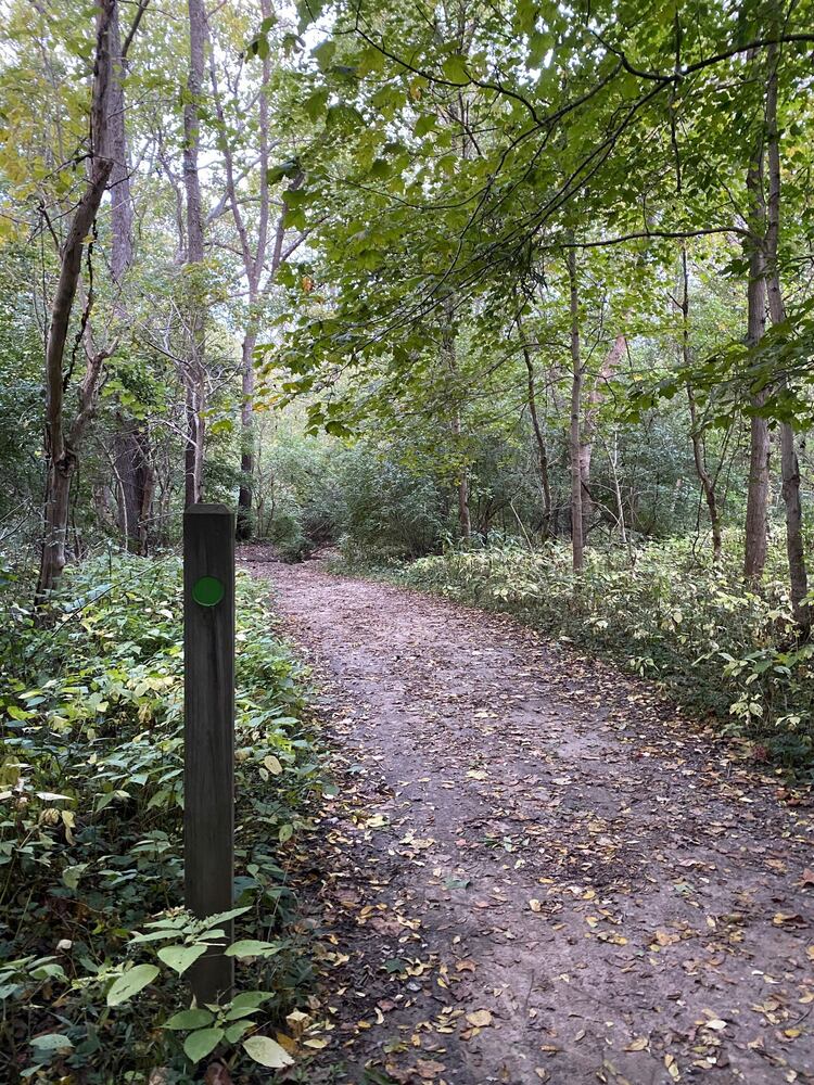 Narrows Reserve