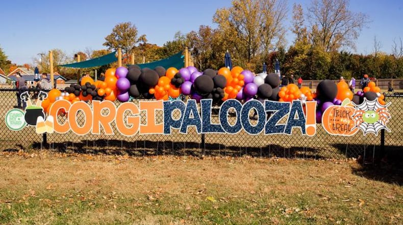 Hosted by Cincy Corgis and sponsored by Pembroke Plumbing, LLC, Corgipalooza will be 11 a.m.-4 p.m. Oct. 18 at Horsepower Farm in Middletown. CONTRIBUTED