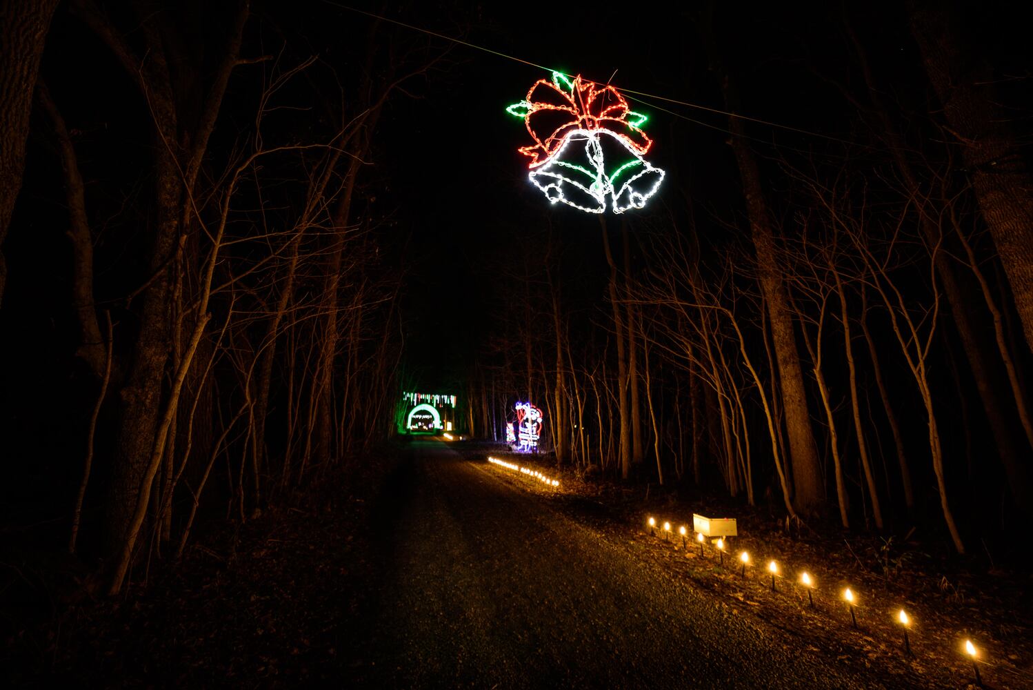 PHOTOS: Holiday Lights dazzle at Lost Creek Reserve in Troy