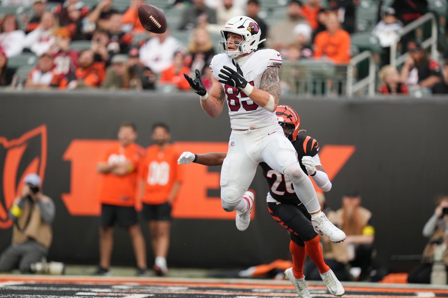 Cardinals Bengals Football