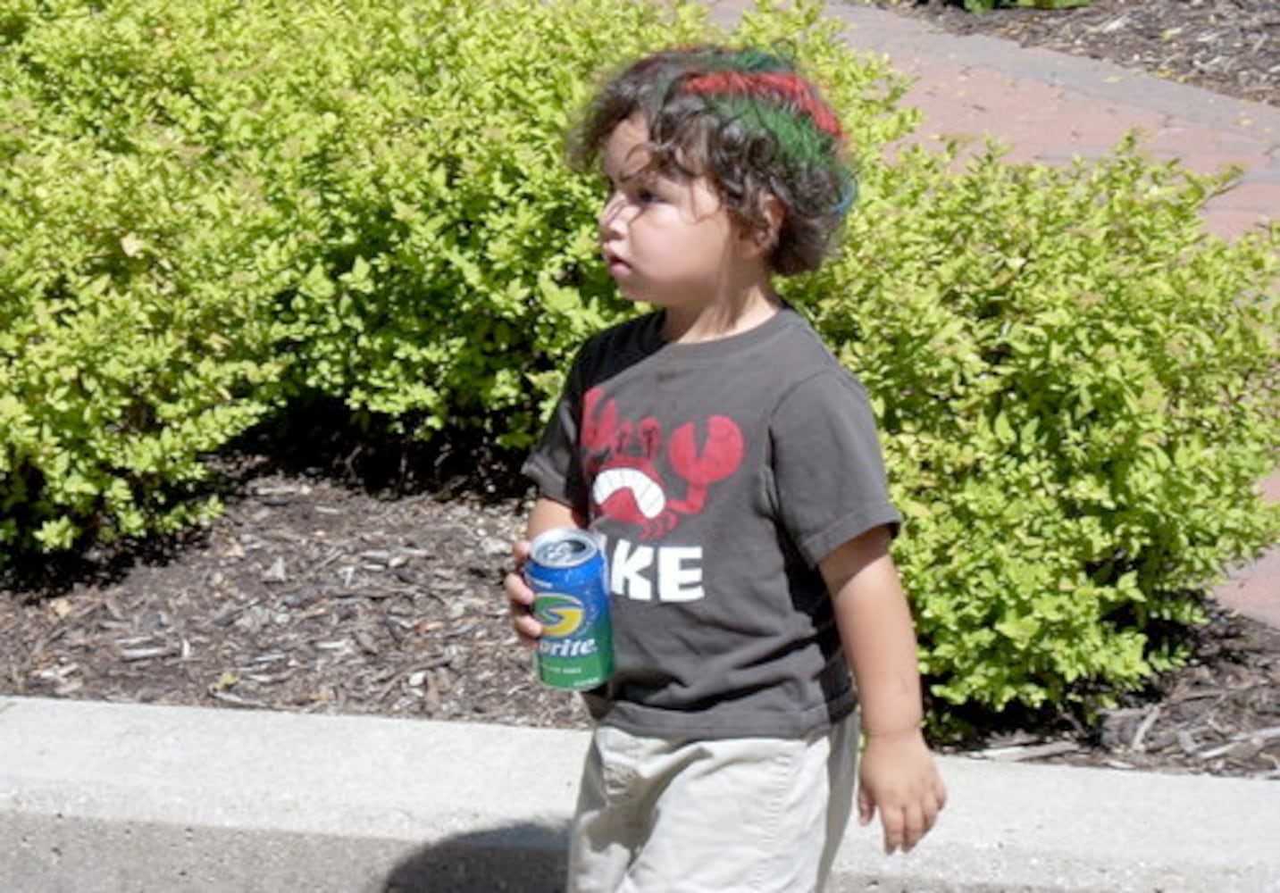 2008 Holiday at Home