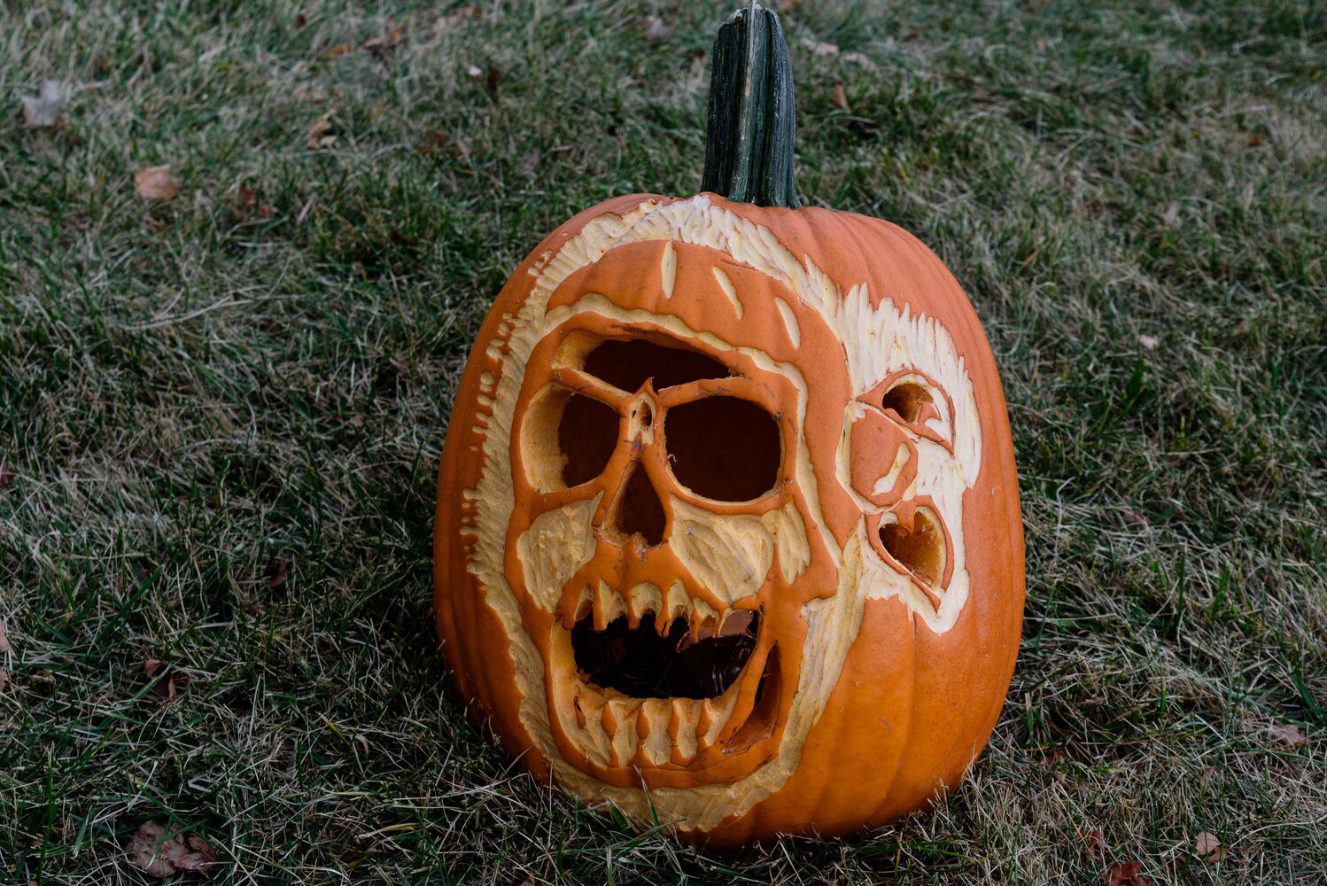 PHOTOS: The Stoddard Avenue Pumpkin Glow
