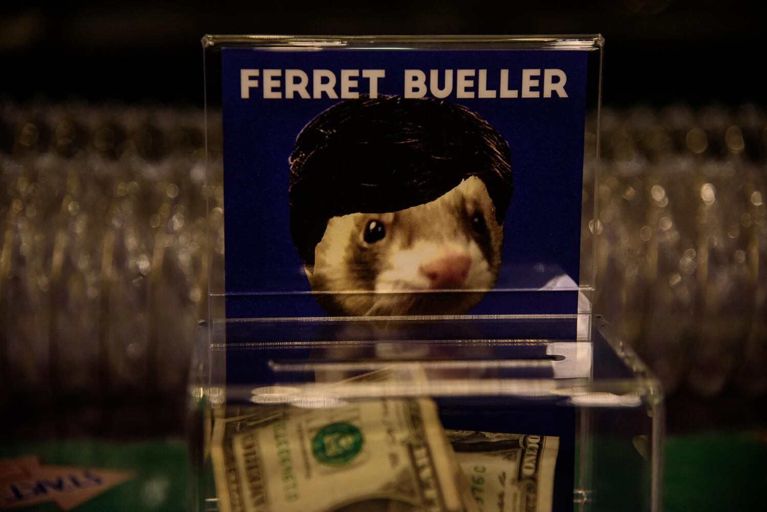 PHOTOS: EUREKA! A science experiment for grown-ups