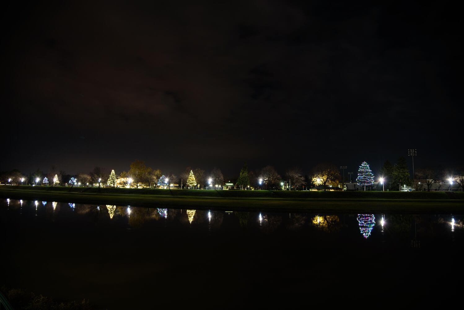 PHOTOS: Troy’s Holiday Tree Lighting