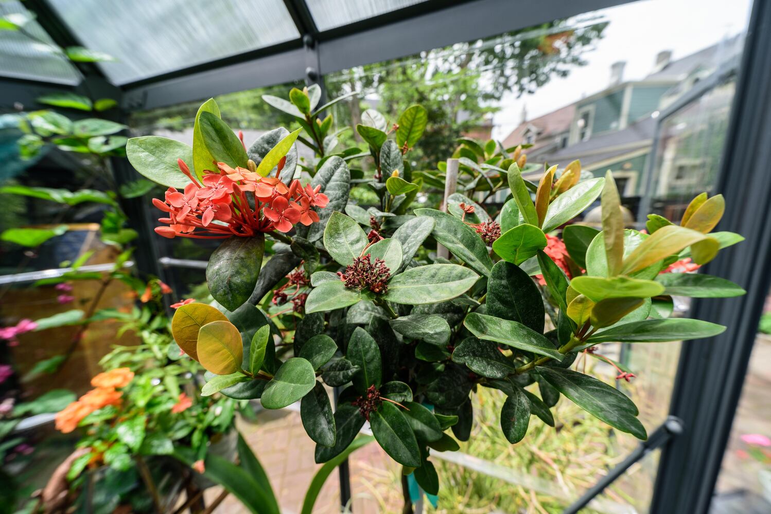 PHOTOS: 2024 St. Anne's Hill Historic District Garden Tour