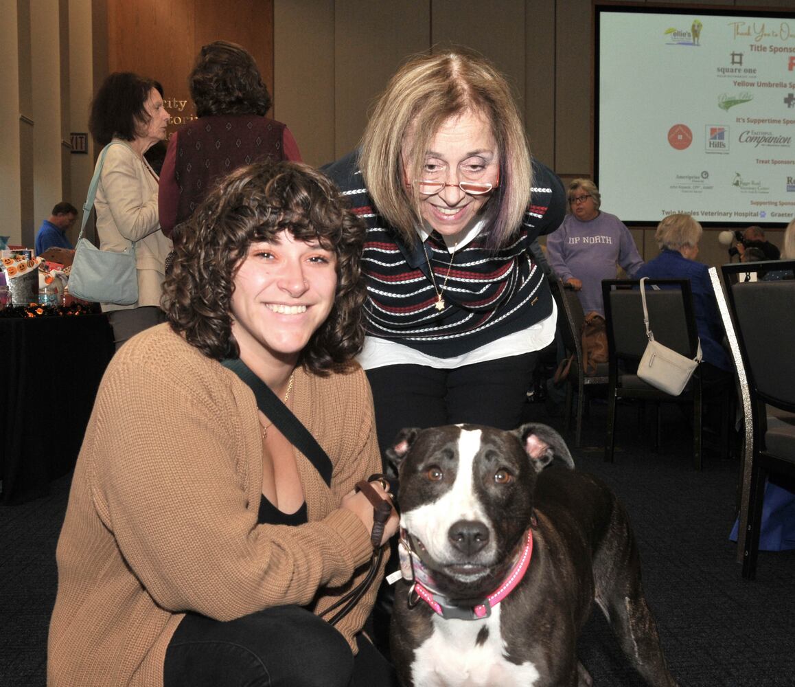 Did we spot you at Dogs on the Catwalk?